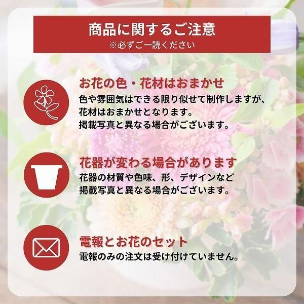 ̤(ƥǥ٥)ȥե ե(L/ַ)ɥ롦BOXդ 17