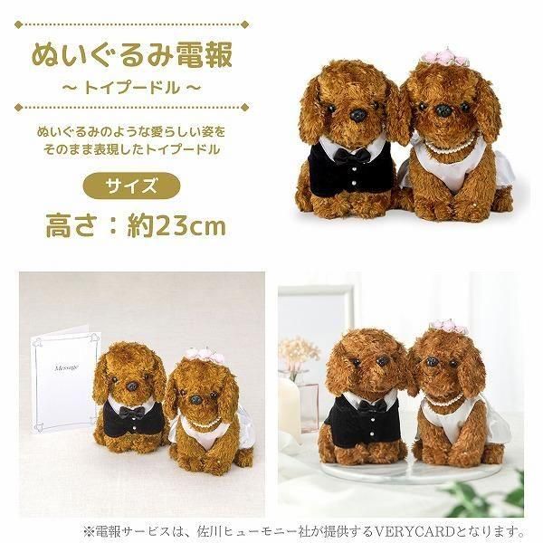 ̤(ȥסɥ)ȥե ե(L/ַ)ɥ롦BOXդ 10