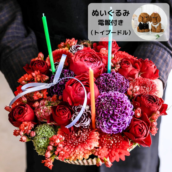 ̤(ȥסɥ)ȥե ե(L/ַ)ɥ롦BOXդ