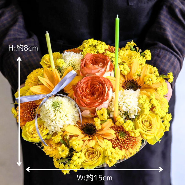 (ݥ)ȥե ե(L/)ɥ롦BOXդڲ٤ޤ 2