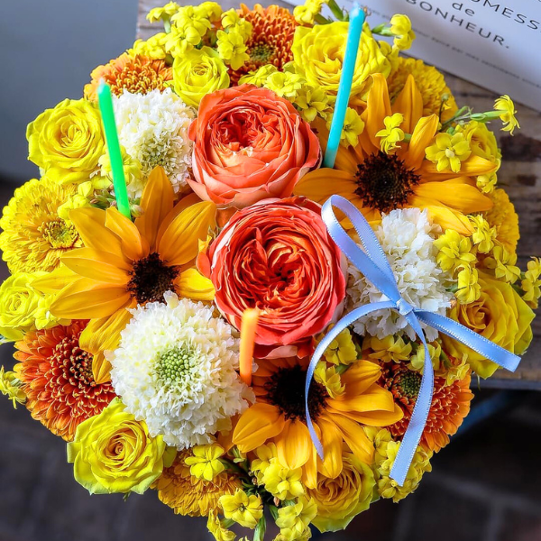 ̤(ƥǥ٥)ȥե ե(L/)ɥ롦BOXդ 6