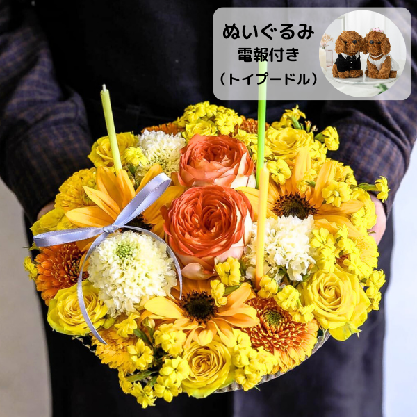 ̤(ȥסɥ)ȥե ե(L/)ɥ롦BOXդ