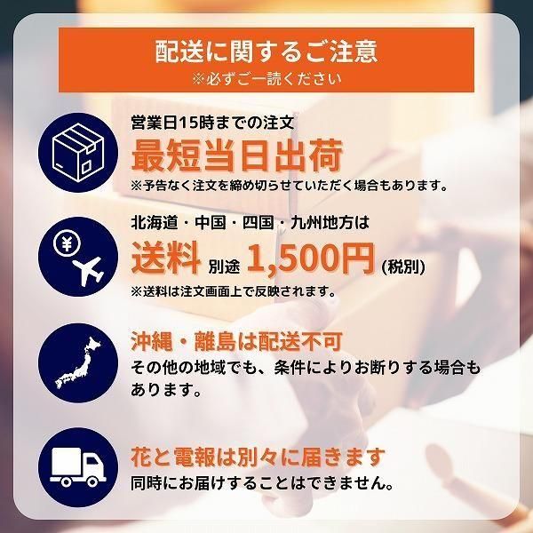 šͧ»桦ؿˤȥե ե(L/ԥ󥯷)ɥ롦BOXդڲ٤ޤ 21