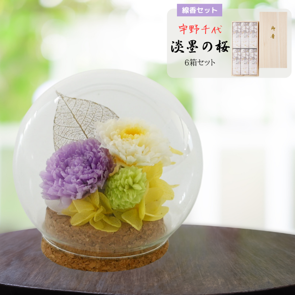 ( øϤκ 6Ȣå)ȥץꥶ֥ɥե (ѡץ)
