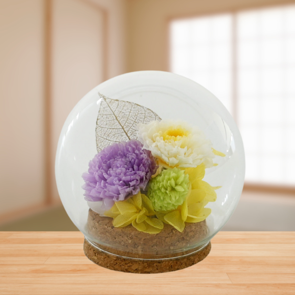 ( øϤκ Ȣ5)ȥץꥶ֥ɥե (ѡץ)
 2