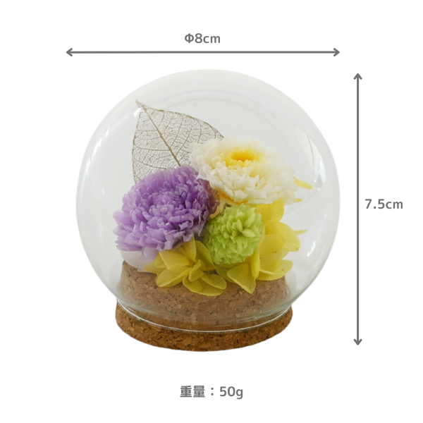 ( øϤκ Ȣ5)ȥץꥶ֥ɥե (ѡץ)
 3