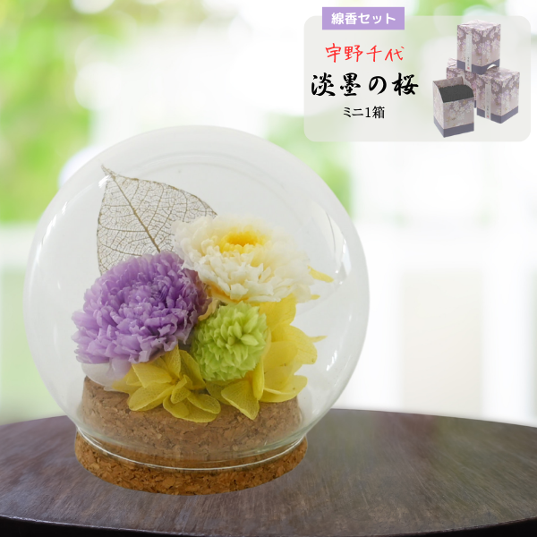 ( øϤκߥ1Ȣ)ȥץꥶ֥ɥե (ѡץ)
