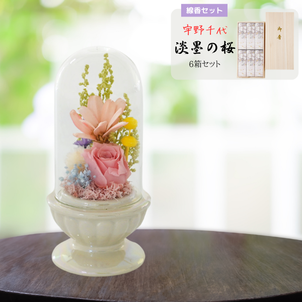 ( øϤκ 6Ȣå)ȥץꥶ֥ɥե ¤(ۥ磻)
