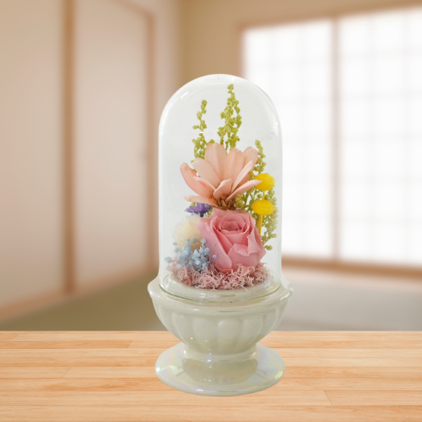 ( øϤκ ⤭å)ȥץꥶ֥ɥե ¤(ۥ磻)
 2