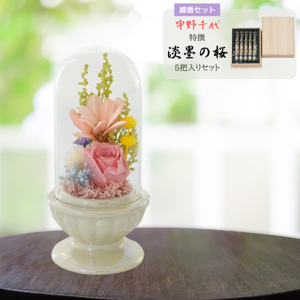 ( øϤκ Ȣ5)ȥץꥶ֥ɥե ¤(ۥ磻)
