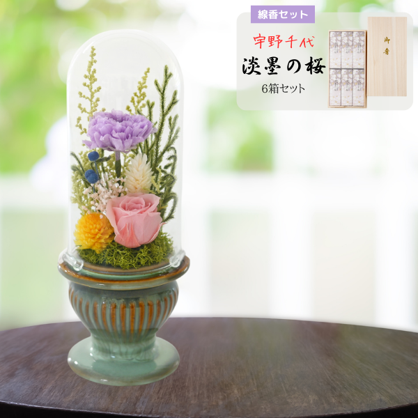 ( øϤκ 6Ȣå)ȥץꥶ֥ɥե (꡼)
