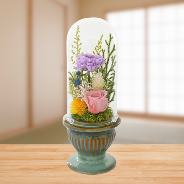 ( øϤκ ⤭å)ȥץꥶ֥ɥե (꡼)
 7