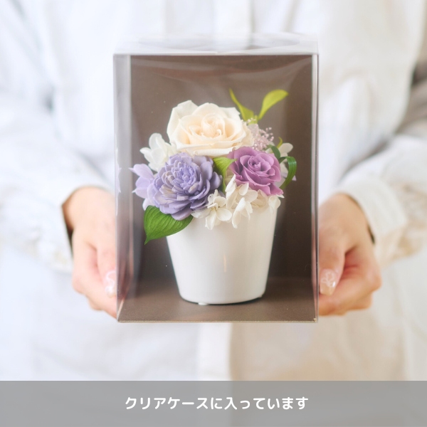 ( øϤκ ⤭å)ȥץꥶ֥ɥե ߤ
 4