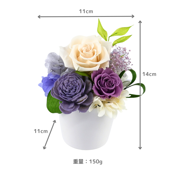 ( øϤκߥ1Ȣ)ȥץꥶ֥ɥե ߤ
 3