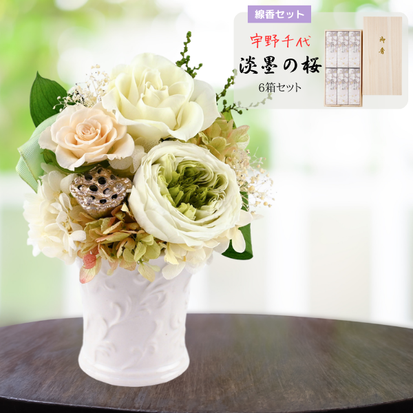 ( øϤκ 6Ȣå)ȥץꥶ֥ɥե ò--
