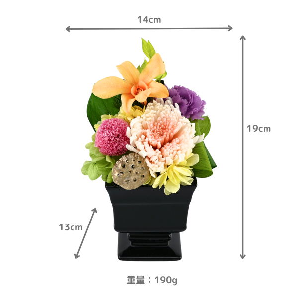 ( øϤκ Ȣ5)ȥץꥶ֥ɥե ̲--
 3