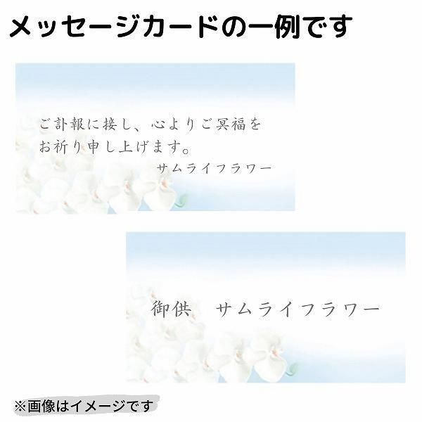 ( øϤκ Ȣ5)ȥץꥶ֥ɥե ۤΤ
 4