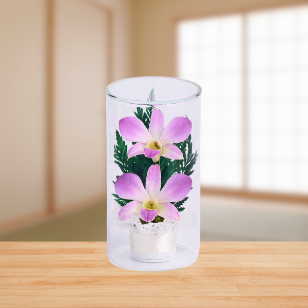 ڤѡۥ饹ե(ɥ饤ե) S