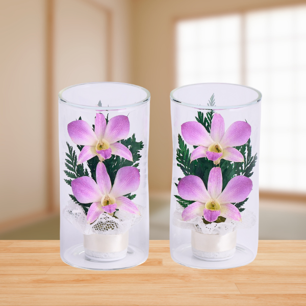 ڤѡۥ饹ե(ɥ饤ե) S2ĥå