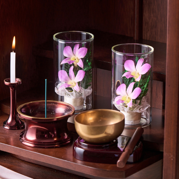 ڤѡۥ饹ե(ɥ饤ե) S2ĥå 3