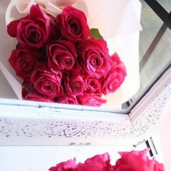 ֥Х12ܡå奨꡼ܥȥդåץݡ䵭ǰ 3