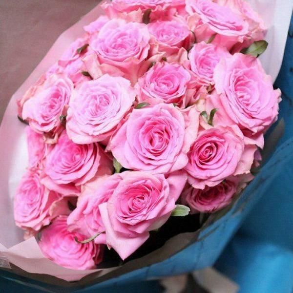 ԥ󥯥Х20ܡå奨꡼ܥȥդǰץݡ˺Ŭ 2