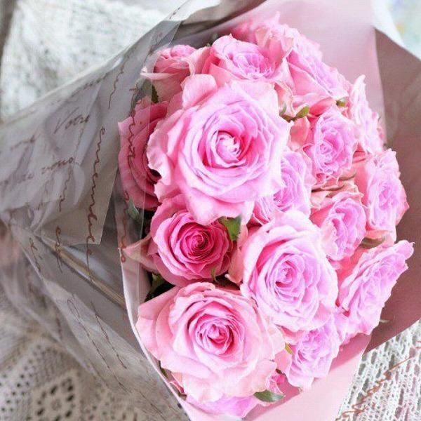 ԥ󥯥Х20ܡå奨꡼ܥȥդǰץݡ˺Ŭ 3