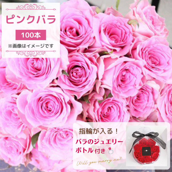 ԥ󥯥Х100ܡå奨꡼ܥȥդåץݡǰ£̤ʲ«