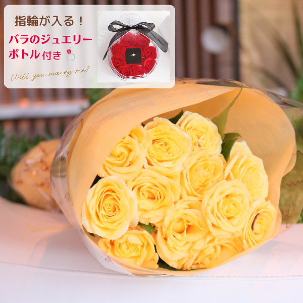 Х«  12ܡ㥸奨꡼ܥȥդ