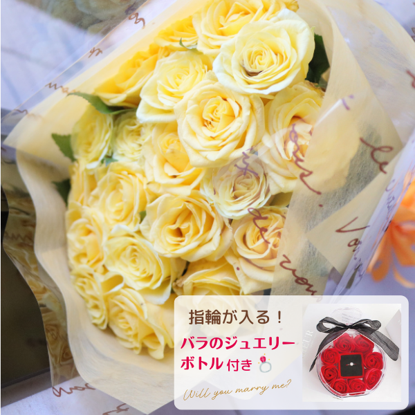 Х«  20ܡ㥸奨꡼ܥȥդ