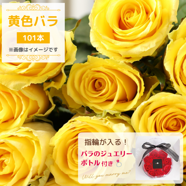 Х«  101ܡ㥸奨꡼ܥȥդ