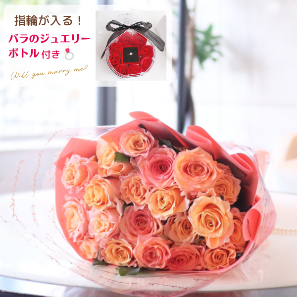 Х«  24ܡ㥸奨꡼ܥȥդ