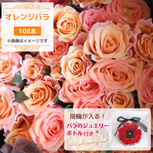 󥸥Х108ܡå奨꡼ܥȥդòȹʡ£̥ե