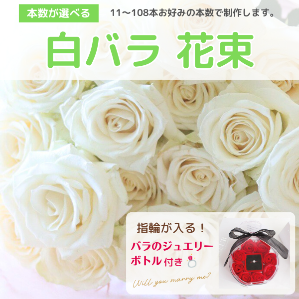 ܿ٤Хå奨꡼ܥȥդùڤ̥ե