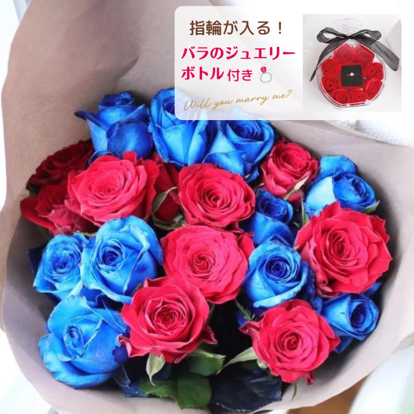 Х« (֥롼) ߥå 20ܡ㥸奨꡼ܥȥդ