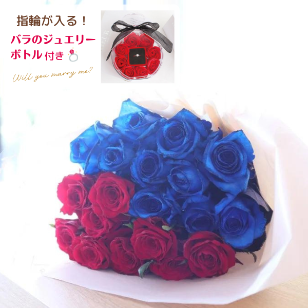 Х« (֥롼) ϡաϡ 20ܡ㥸奨꡼ܥȥդ