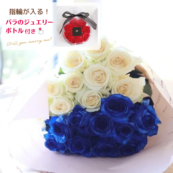 Х« (֥롼) ϡաϡ 20ܡ㥸奨꡼ܥȥդ