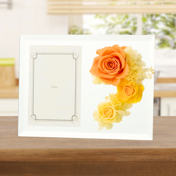 (ߥ)ȥץꥶ֥ɥե ֤ȼ̿Ω(եȥߥ顼/)ڲ٤ޤ 2