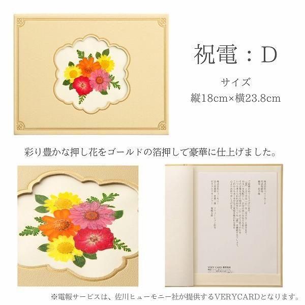 ()ȥץꥶ֥ɥե ֤ȼ̿Ω(եȥߥ顼/ԥ)ڲ٤ޤ 8