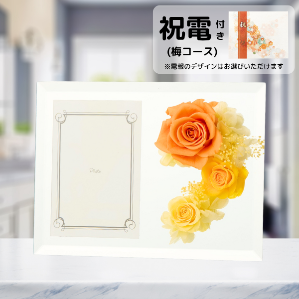 ()ȥץꥶ֥ɥե ֤ȼ̿Ω(եȥߥ顼/)ڲ٤ޤ