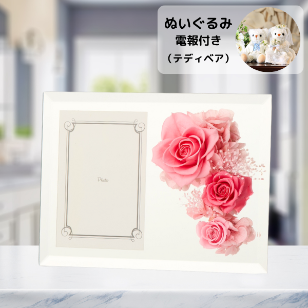 ̤(ƥǥ٥)ȥץꥶ֥ɥե ֤ȼ̿Ω(եȥߥ顼/ԥ)