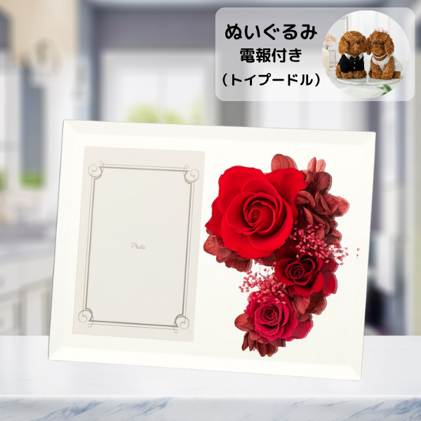 ̤(ȥסɥ)ȥץꥶ֥ɥե ֤ȼ̿Ω(եȥߥ顼/å)