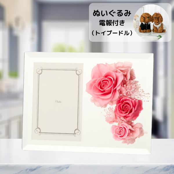 ̤(ȥסɥ)ȥץꥶ֥ɥե ֤ȼ̿Ω(եȥߥ顼/ԥ)