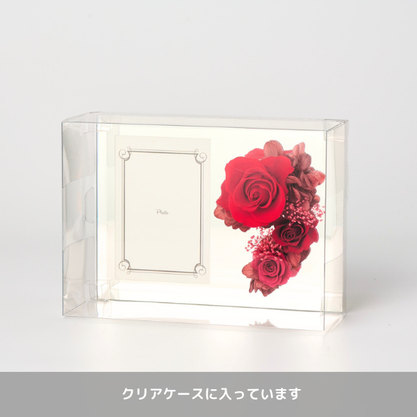 ̤(ȥסɥ)ȥץꥶ֥ɥե ֤ȼ̿Ω(եȥߥ顼/֥롼) 3