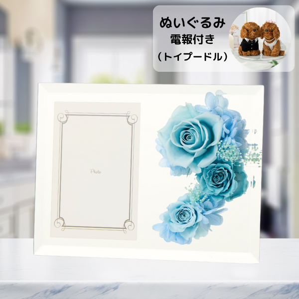 ̤(ȥסɥ)ȥץꥶ֥ɥե ֤ȼ̿Ω(եȥߥ顼/֥롼)