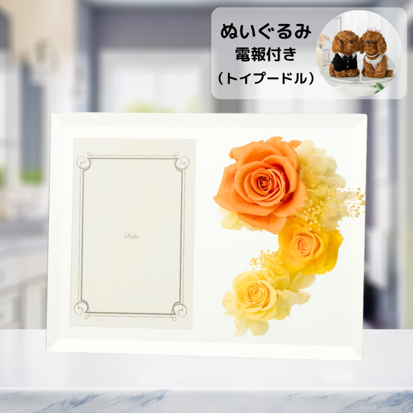 ̤(ȥסɥ)ȥץꥶ֥ɥե ֤ȼ̿Ω(եȥߥ顼/)