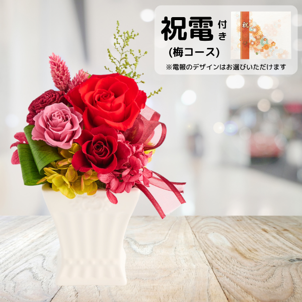 (ߥ)ȥץꥶ֥ɥե ե꡼ʥåɡˡڲ٤ޤ