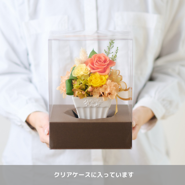 (ݥ)ȥץꥶ֥ɥե ե꡼ʥԥ󥯡ˡڲ٤ޤ 3