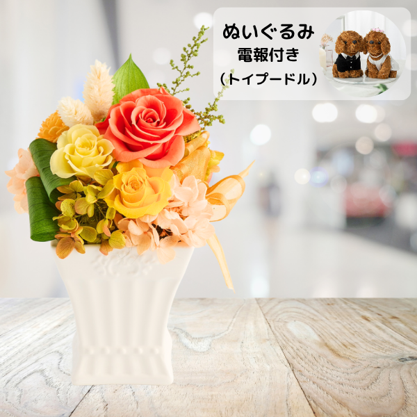 ̤(ȥסɥ)ȥץꥶ֥ɥե ե꡼ʥ