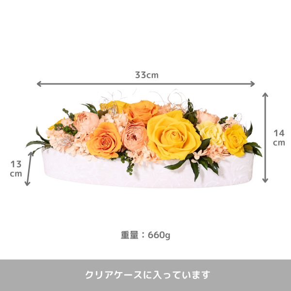 (ߥ)ȥץꥶ֥ɥե ꥢʥˡڲ٤ޤ 3